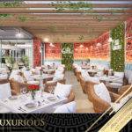 Restaurant Interior Design