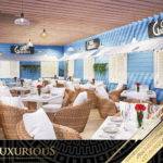 Restaurant Interior Design