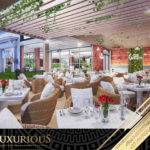 Restaurant Interior Design