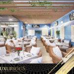 Restaurant Interior Design