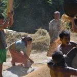 The fifth edition of Kochi-Muziris Biennale curated by Shubigi Rao announced