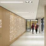 Zayed Centre for Research in London by Stanton Williams is a new urban beacon of science and design