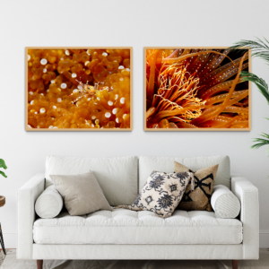 Bring your blank wall spaces to life with homegrown brand inkopia