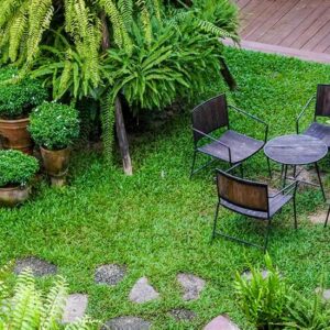 العشب الصناعي في المنزل وكيفية المحافظة عليه
