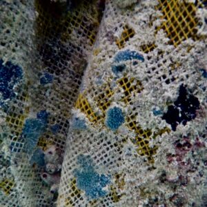 Abu Dhabi Art Fair to take place in November 2021