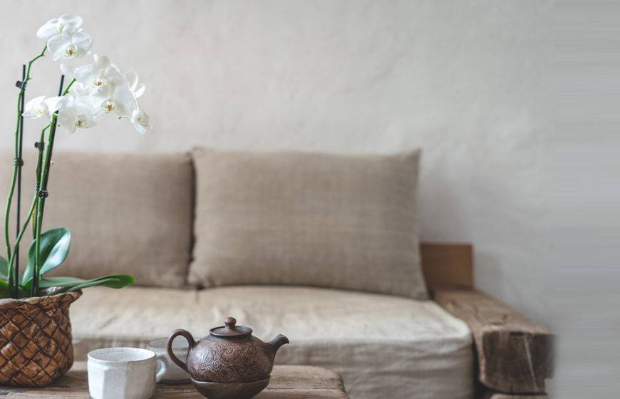 نباتات منزلية عطرية … رائحة زكية ونديّة