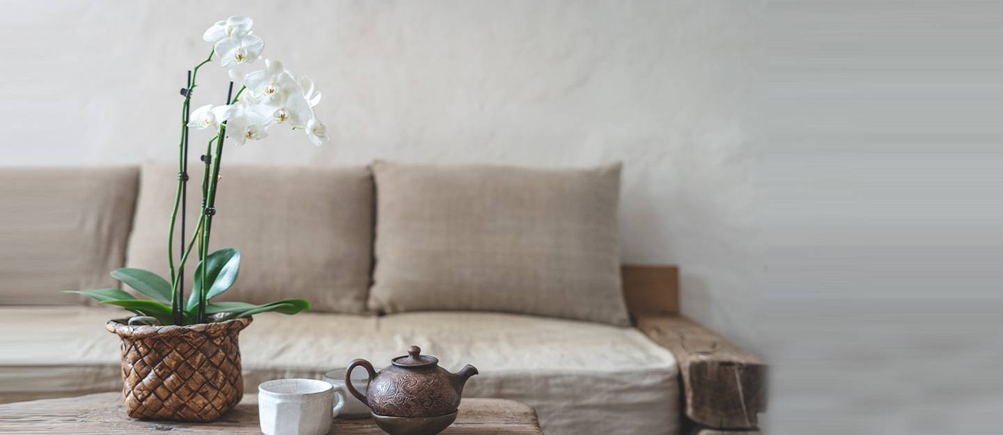 نباتات منزلية عطرية