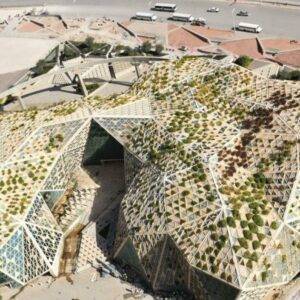 كيف غيرت فكرة “الحديقة الرأسية” الأسس التقليدية للبستنة؟