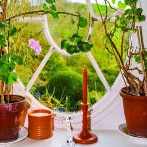 LOEWE HOME SCENTS 2023 صيف بروائح نباتات الحدائق