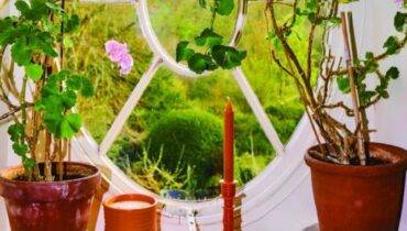 LOEWE HOME SCENTS 2023 صيف بروائح نباتات الحدائق