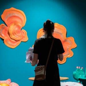 19th Edition of Miami Beach Fair