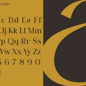 Lamar Gold & Jewelry تصميم محل مجوهرات