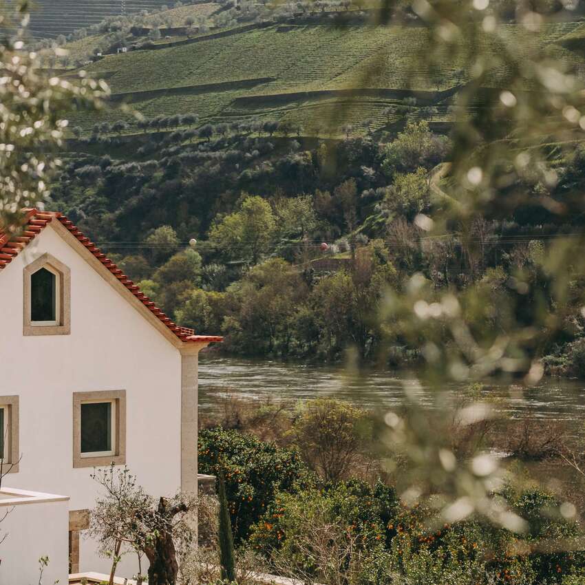 Luxury Meets Tradition In The Heart of Douro 13 vacaria quinta slider 01