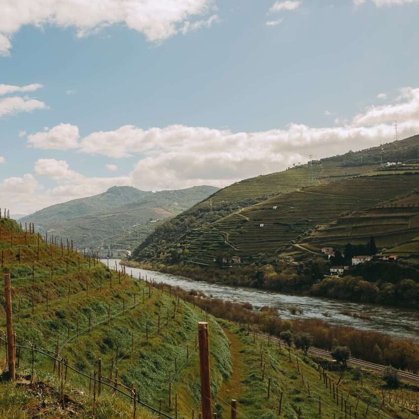 Luxury Meets Tradition In The Heart of Douro 14 vacaria quinta slider 02