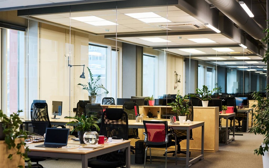 النباتات في التصميم الداخلي