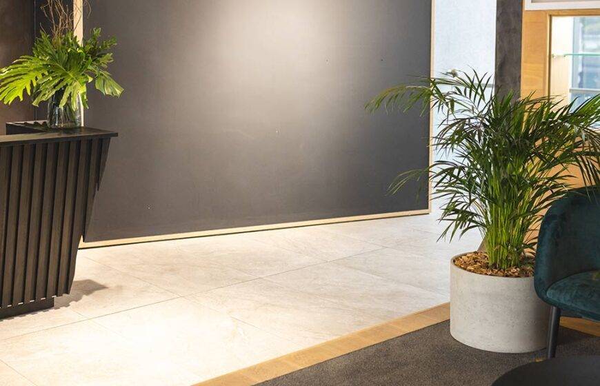 هل تعلم كيف يربطنا التصميم البيوفيلي بالطبيعة؟