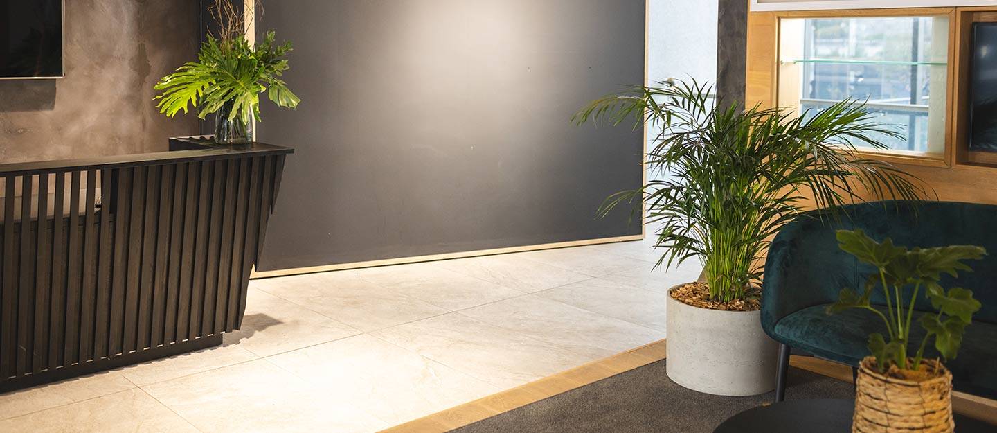 التصميم البيوفيلي