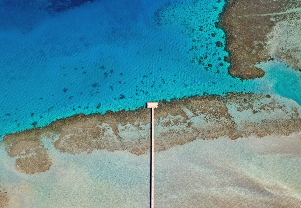 Fanadir Shores and North Bay usher in the next chapter of this legacy, offering a distinctive blend of lifestyle, sustainability, and unique architecture along the stunning Red Sea