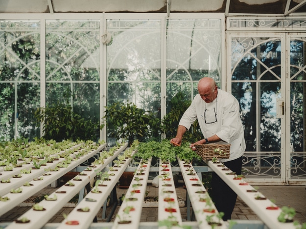 Contributing to El Gouna’s reputation as a vibrant, integrated town offering a cosmopolitan lifestyle, Fanadir Shores, its latest project, is designed to elevate the town’s premium residential offerings